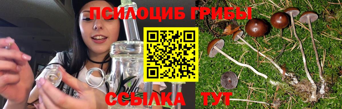 Псилоцибиновые грибы Psilocybe  Галлюциногенные грибы MAGIC MUSHROOMS  Вход с VPN  Новоалександровск 