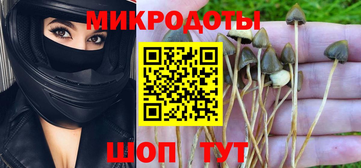 Галлюциногенные грибы Cubensis Новоалександровск